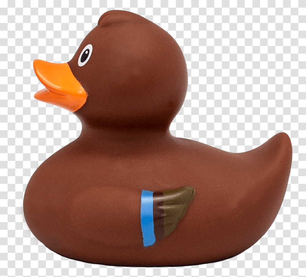 Baby Duck, Bird, Animal, Person, Human Transparent Png