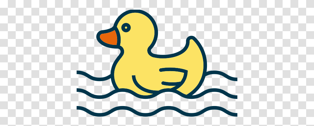 Baby Duckling Water Free Icon Of Babies Duck, Bird, Animal Transparent Png