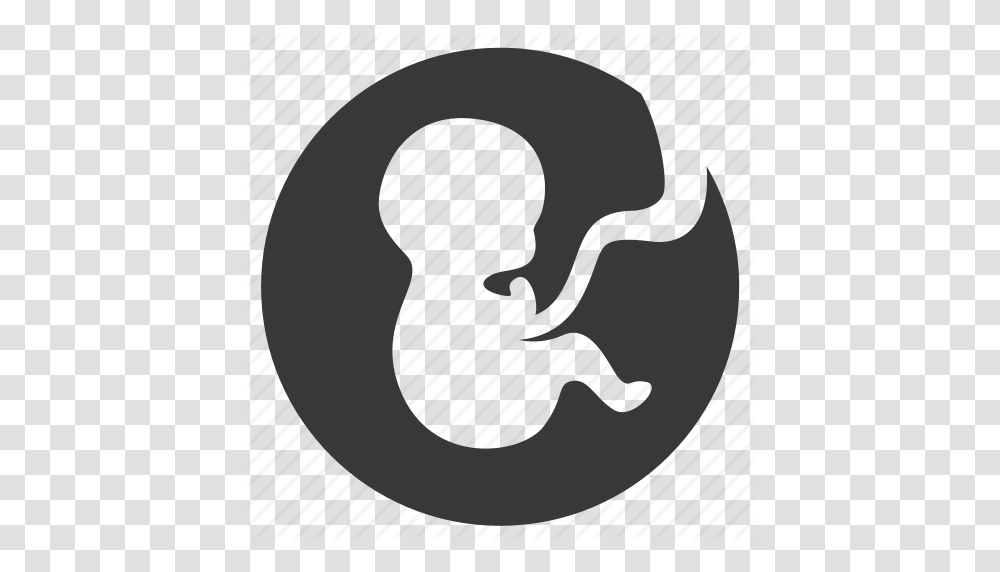 Baby Embryo Life Newborn Pregnancy Pregnant Prenatal Icon, Number, Alphabet Transparent Png