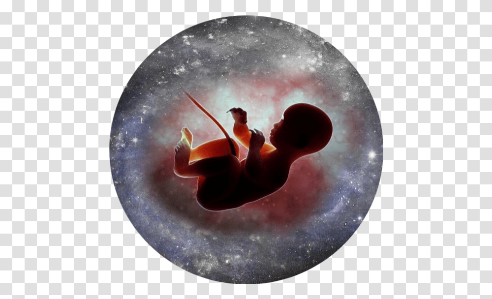 Baby Fetus Embryo Womb Mother Child Week Does Baby Heart Start Beating, Astronomy, Outer Space, Universe, Nature Transparent Png