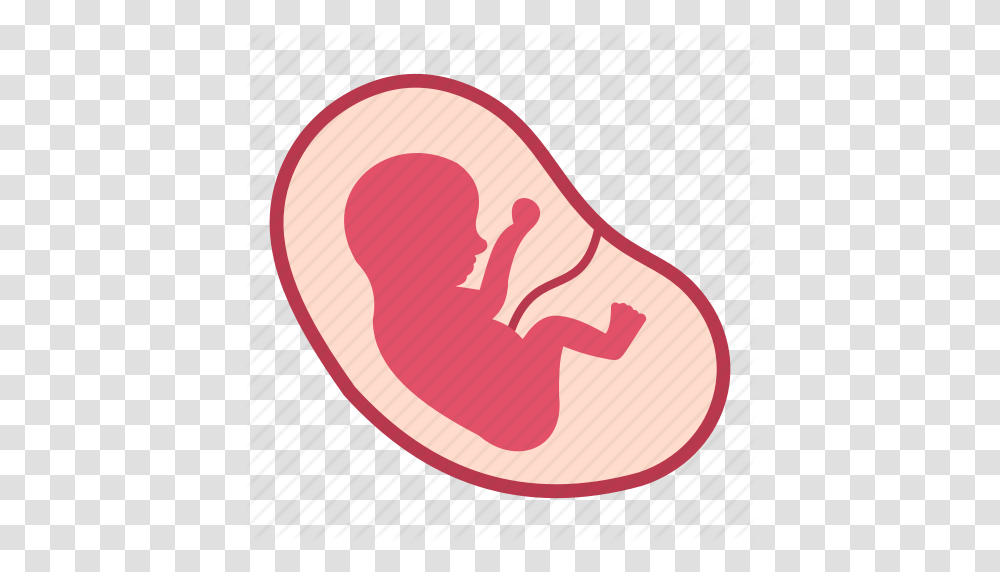Baby Fetus Human Life Medical Pregnancy Womb Icon, Label, Plant, Fitness, Working Out Transparent Png