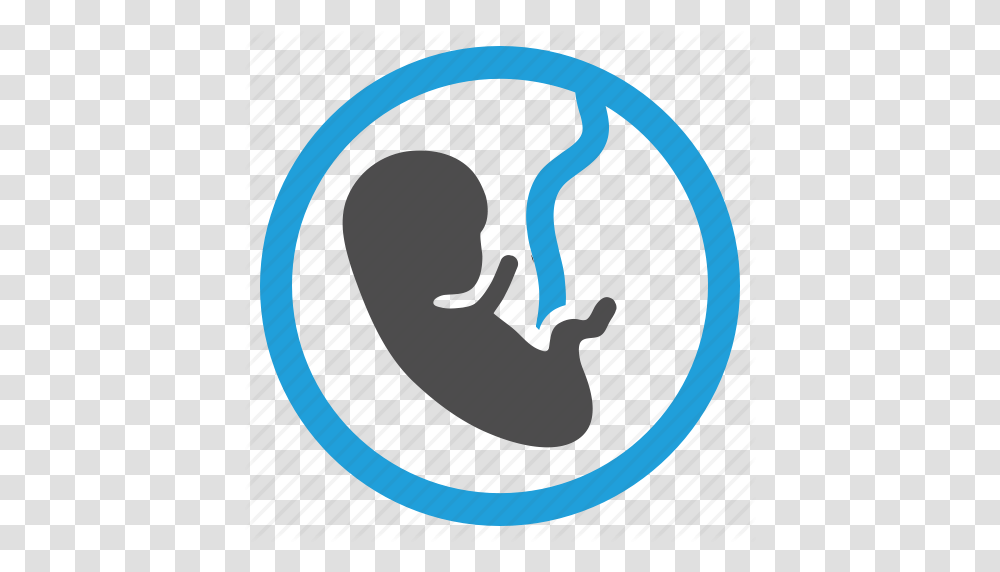 Baby Fetus Obstetrics Pregnancy Icon, Face Transparent Png