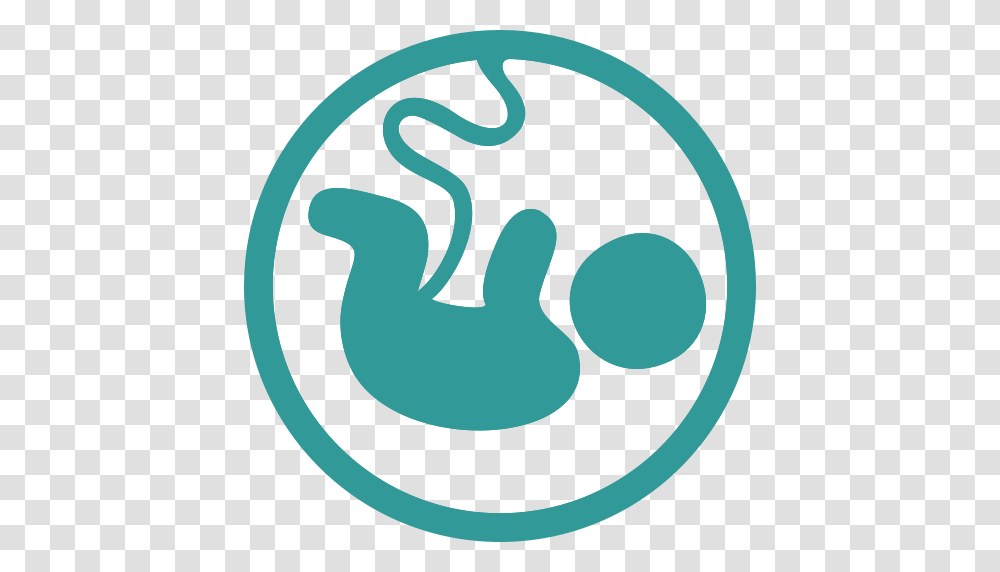Baby Fetus Pregnancy Icon, Label, Alphabet Transparent Png