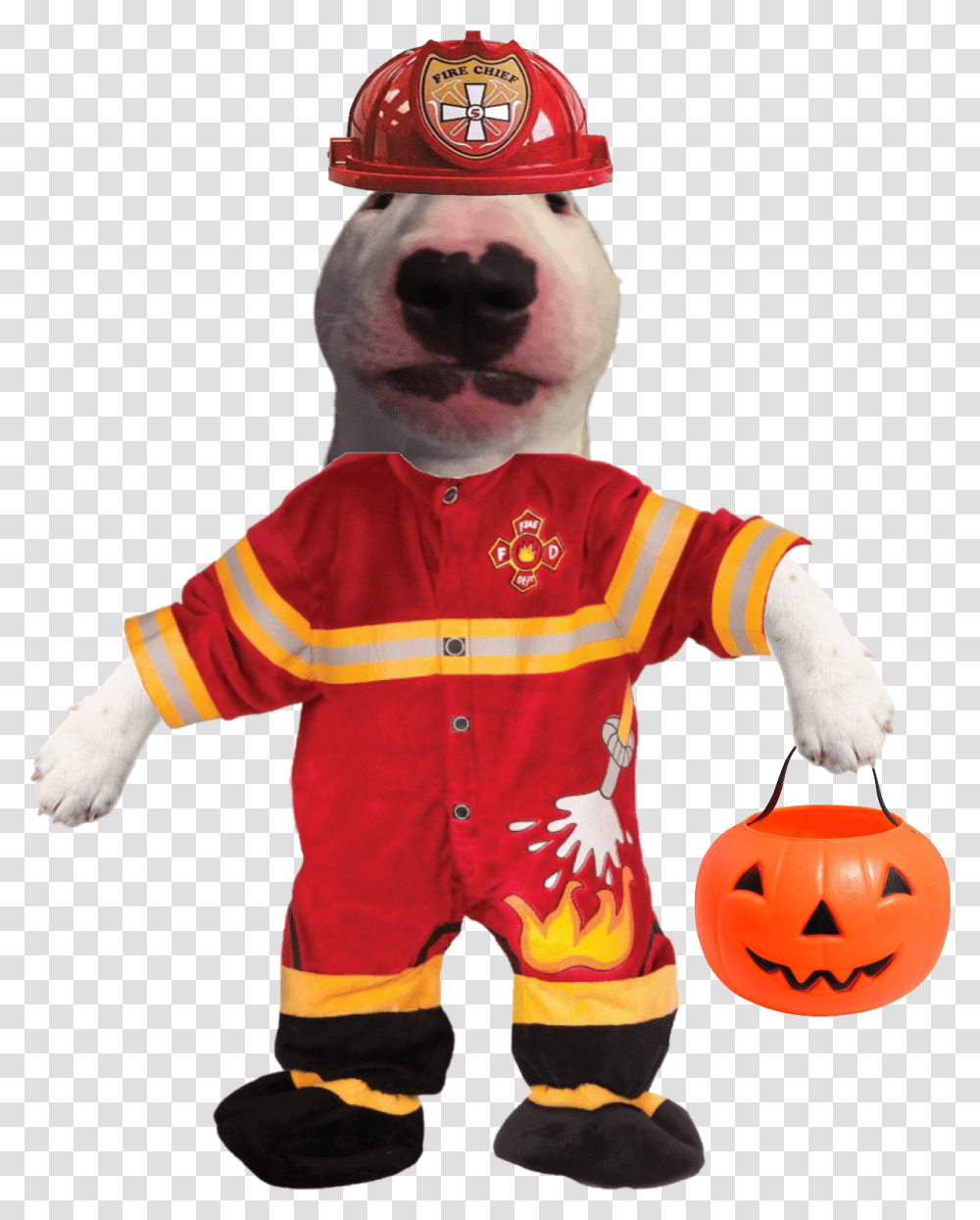 Baby Firefighter Costume, Person, Human, Plant, Mascot Transparent Png