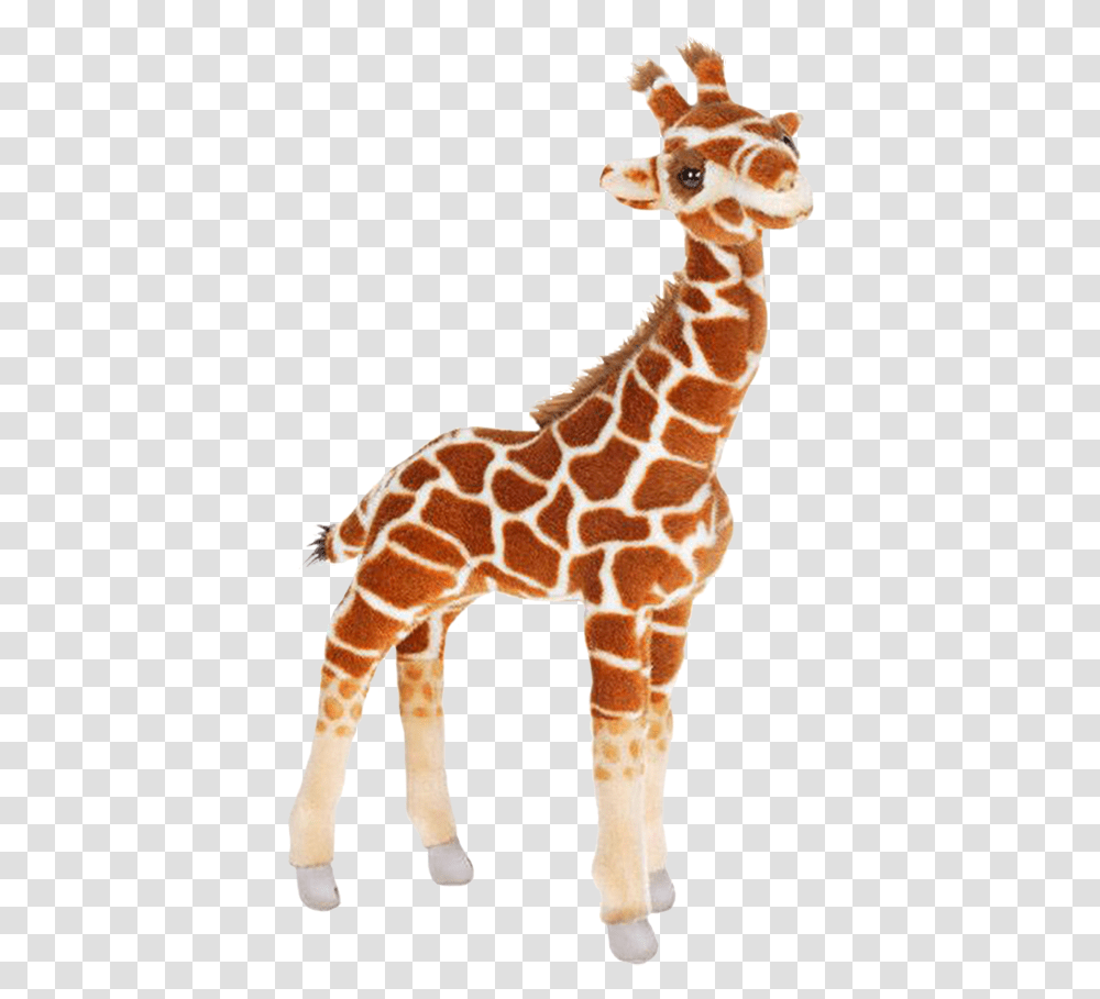 Baby Giraffe Stuffed Animal Giraffe Background, Wildlife, Mammal, Gecko, Lizard Transparent Png
