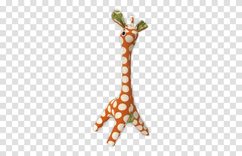 Baby Giraffe, Wildlife, Mammal, Animal, Agaric Transparent Png