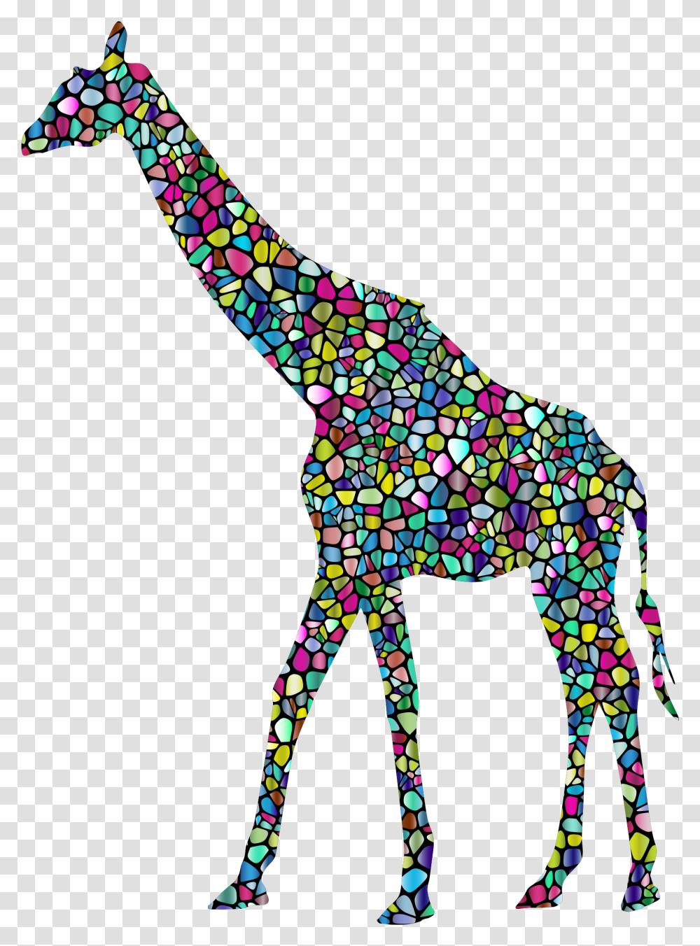 Baby Giraffes West African Giraffe Background White Giraffe, Mammal, Animal, Wildlife, Art Transparent Png