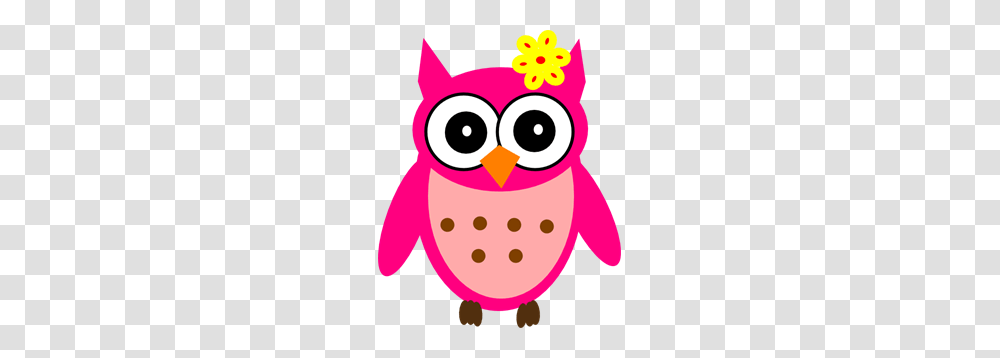 Baby Girl Owl With Bow Clipart For Web, Bird, Animal, Penguin Transparent Png