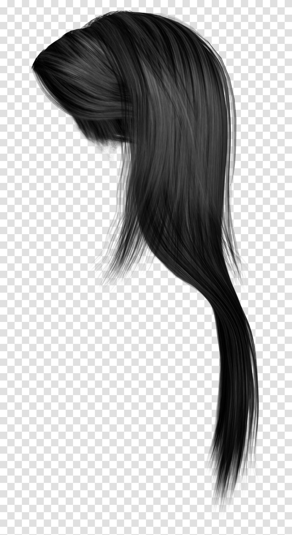 Baby Hair Girl Hair Hd, Bird, Plant, Black Hair, Flower Transparent Png