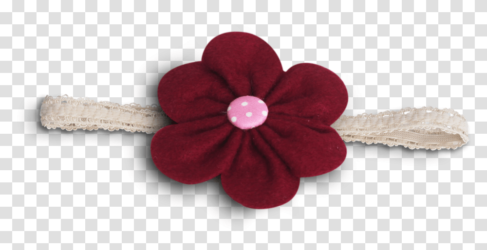 Baby Hair Girls Accessories, Plant, Petal, Flower, Blossom Transparent Png