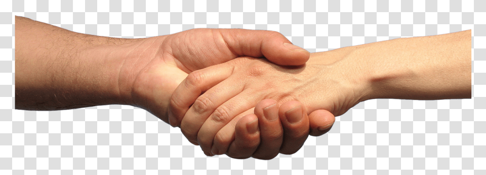 Baby Hands Hand By Hand Sharing, Person, Human, Finger, Wrist Transparent Png