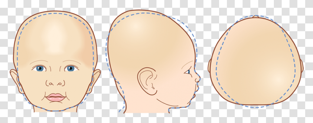 Baby Head, Person, Human, Ear, Neck Transparent Png