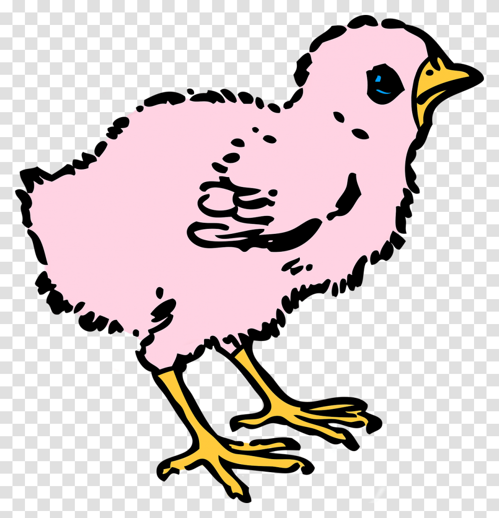 Baby Hen Clipart Black And White, Bird, Animal, Beak, Fowl Transparent Png