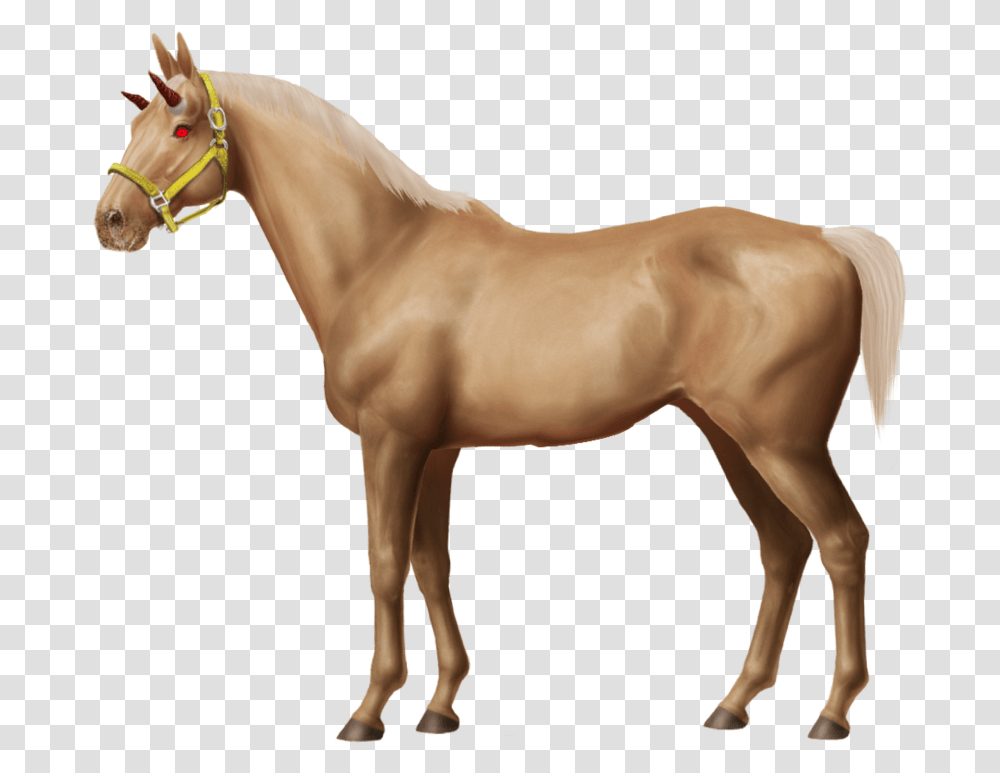 Baby Horse Download Horseworldonline, Mammal, Animal, Colt Horse, Stallion Transparent Png