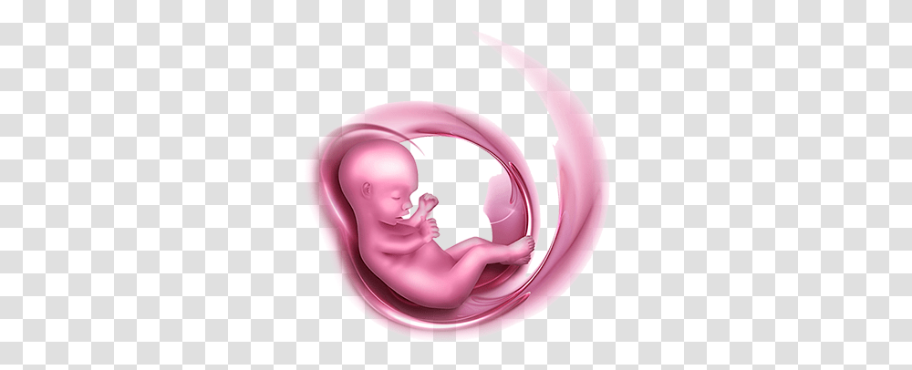 Baby In Womb Baby In The Womb, Purple, Person, Human, Helmet Transparent Png