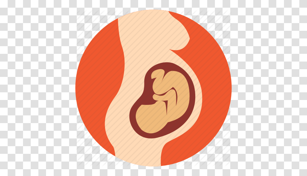 Baby In Womb Baby In Womb Images, Label, Ear Transparent Png