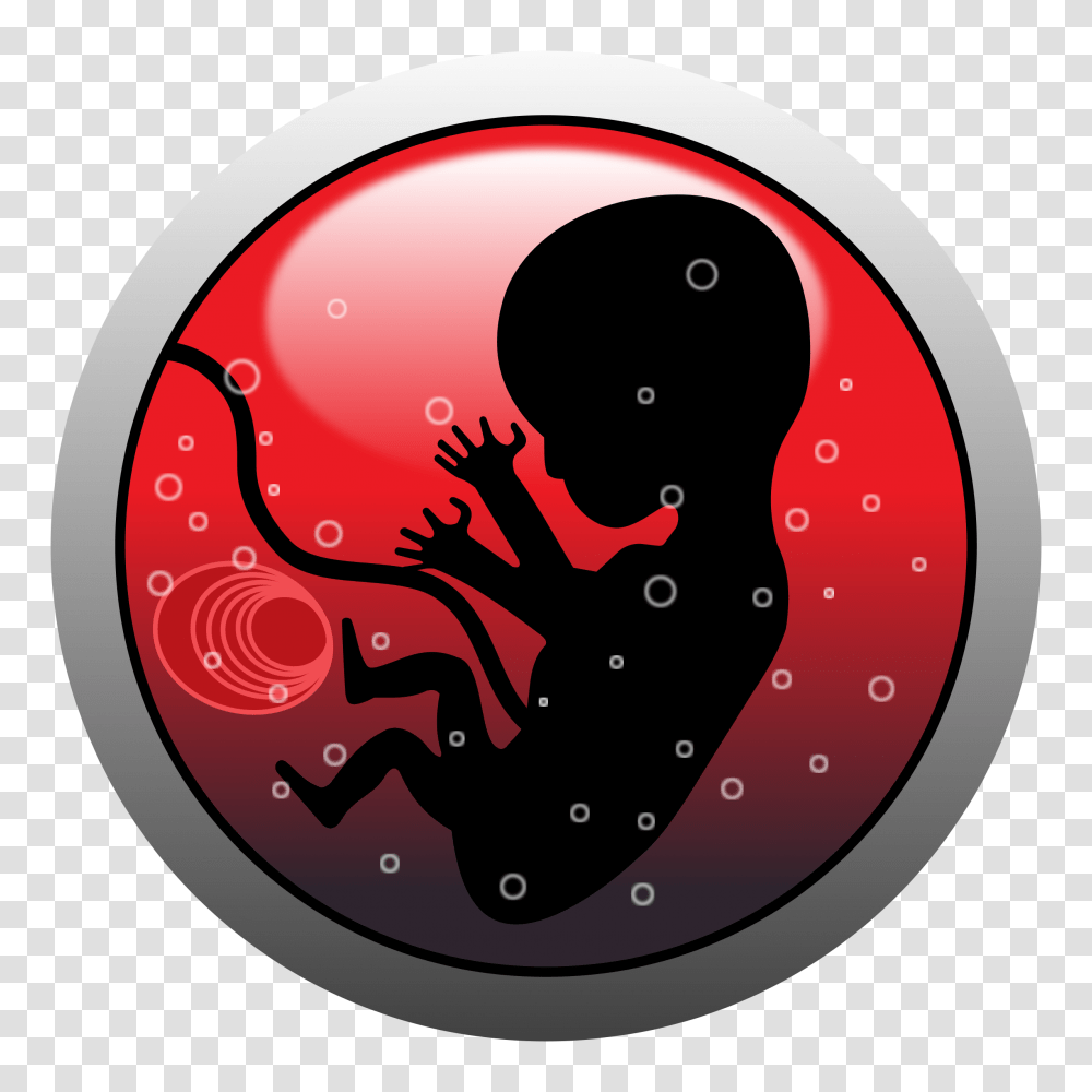 Baby In Womb Vector Clipart Image, Ball, Bowling, Sport, Sports Transparent Png