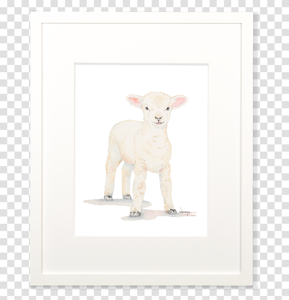 Baby Lamb Wall ArtClass Sheep, Mammal, Animal, Dog, Pet Transparent Png