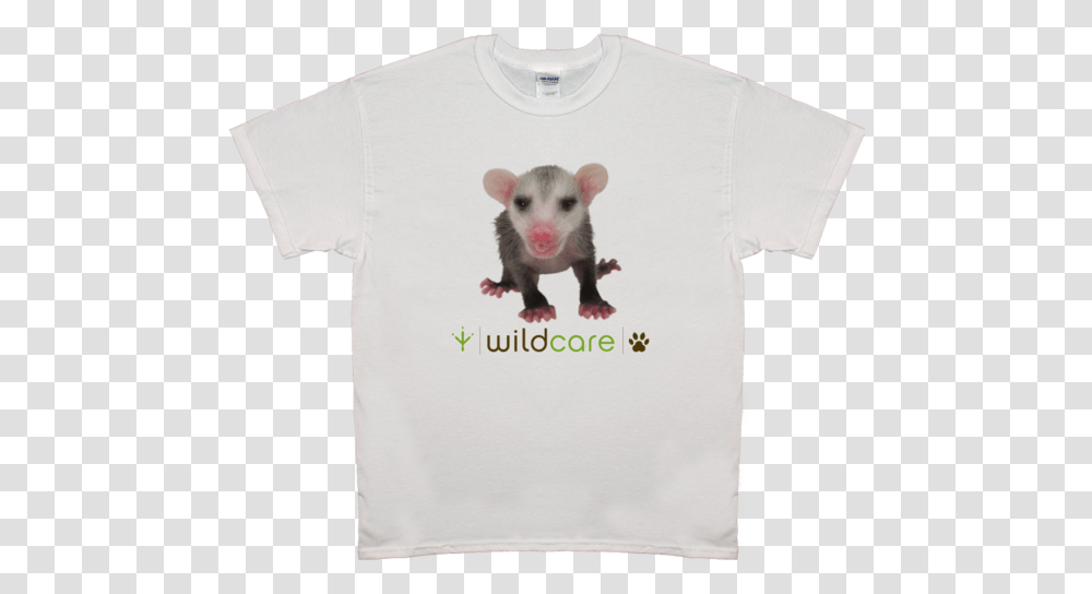 Baby Opossum T Shirt 25 Donation Rat, Mammal, Animal, Apparel Transparent Png