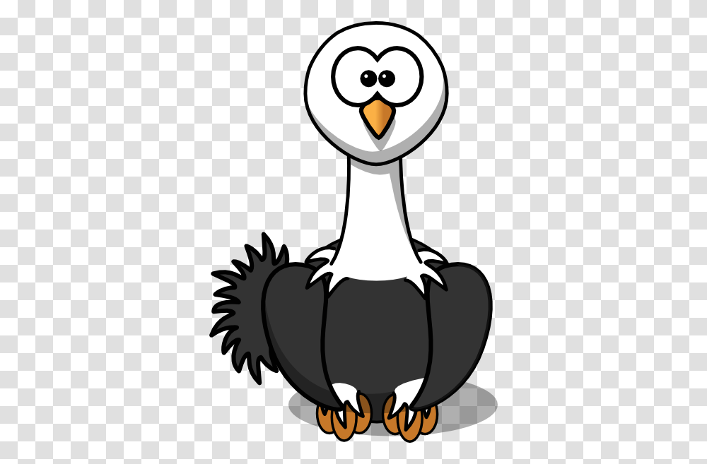 Baby Ostrich Cliparts, Bird, Animal, Duck, Penguin Transparent Png