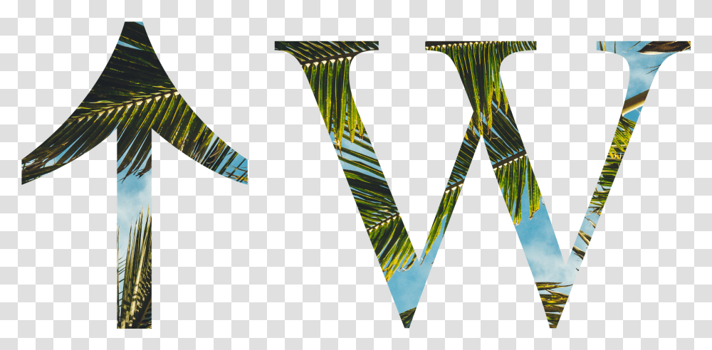 Baby Palm Tree Logo T Roystonea, Art, Tie, Accessories, Modern Art Transparent Png