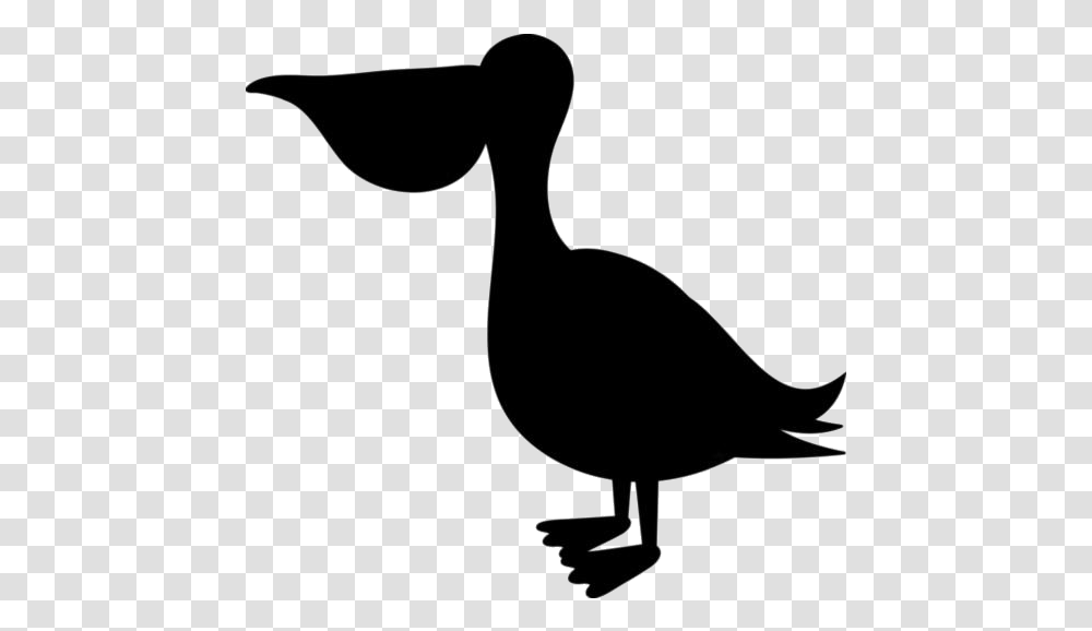 Baby Pelican Images Duck, Bow, Animal, Bird, Dodo Transparent Png