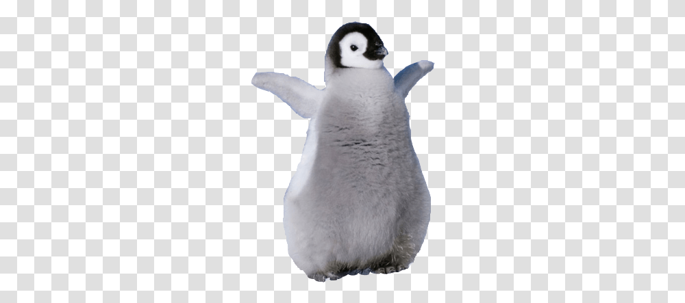 Baby Penguin Background, Snowman, Winter, Outdoors, Nature Transparent Png