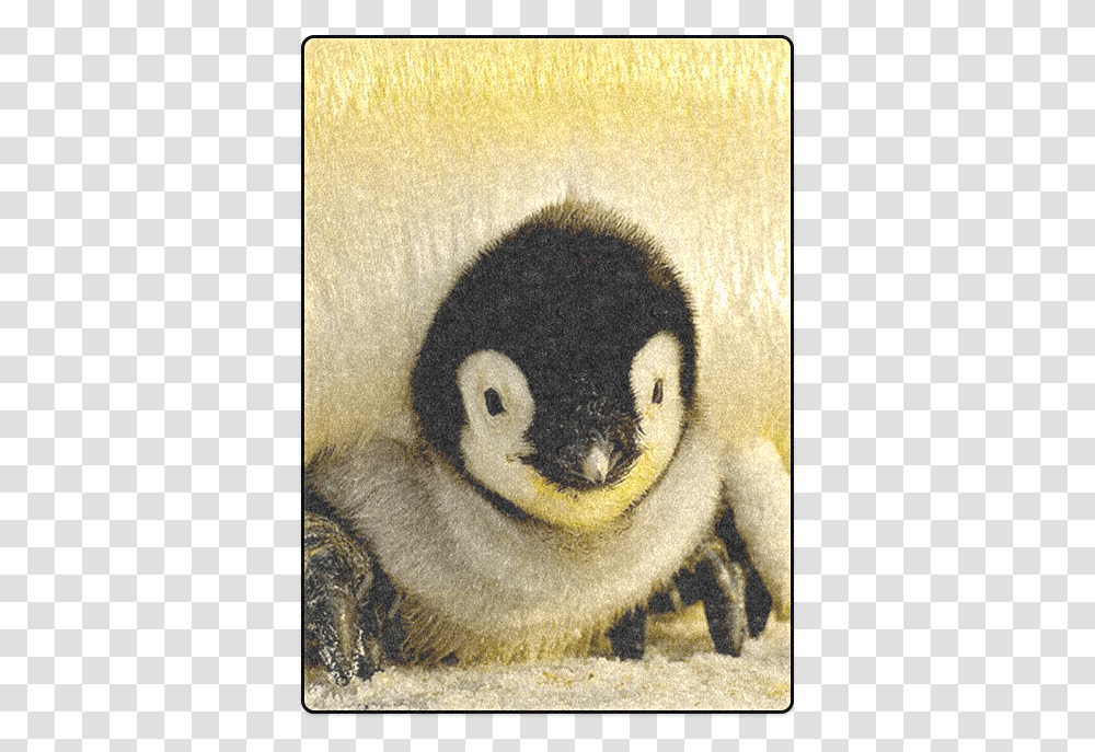 Baby Penguin Blanket 58 X80 Comment Les Pingouin Se Reconnaissent, Giant Panda, Bear, Wildlife, Mammal Transparent Png