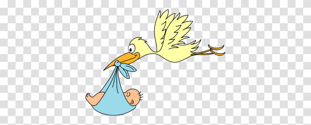 Baby Related Cliparts, Bird, Animal, Leisure Activities Transparent Png