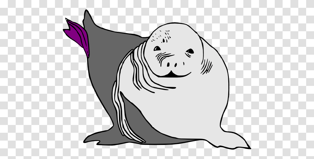 Baby Seal Baby Sea Lion Clip Art For Web, Mammal, Sea Life, Animal, Walrus Transparent Png