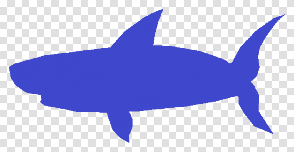 Baby Shark Blue Shark, Sea Life, Animal, Mammal, Fish Transparent Png
