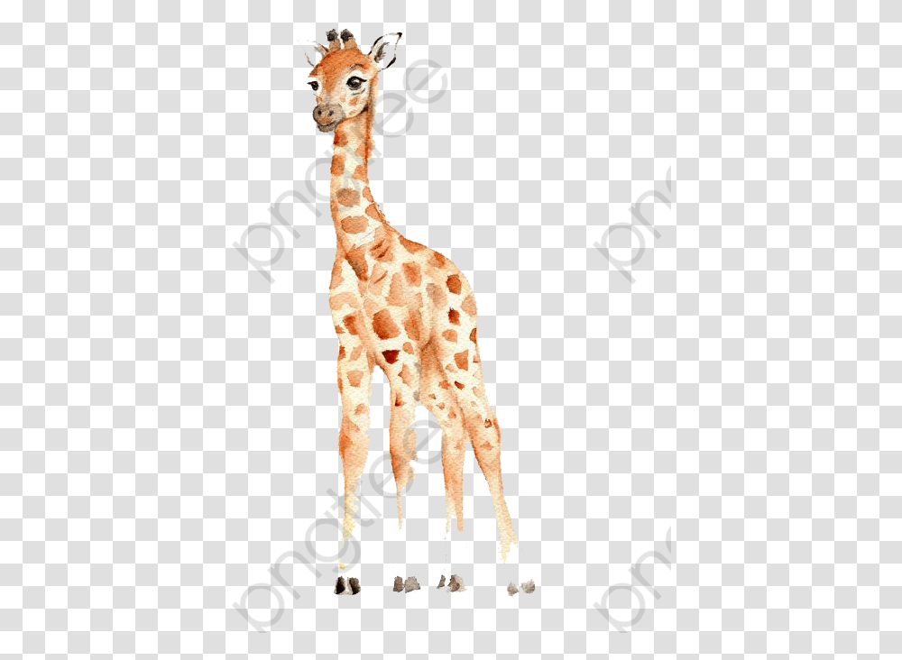 Baby Shower Clipart Free Baby Giraffe Watercolor Clipart, Wildlife, Mammal, Animal Transparent Png