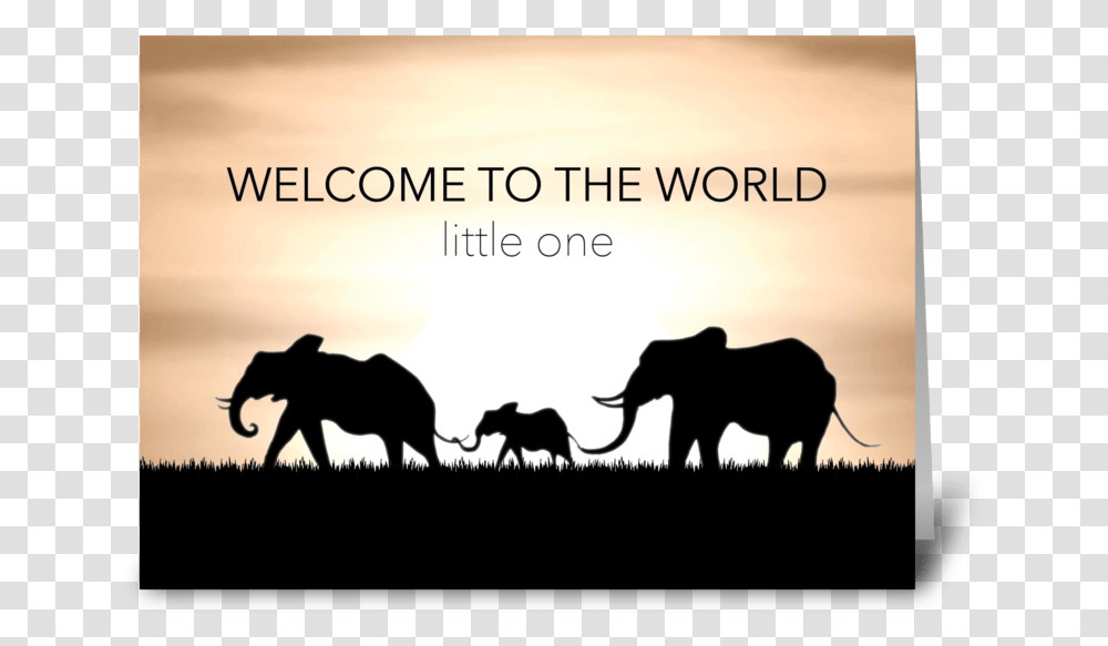 Baby Shower Elephant Card Greeting Card, Wildlife, Mammal, Animal, Silhouette Transparent Png