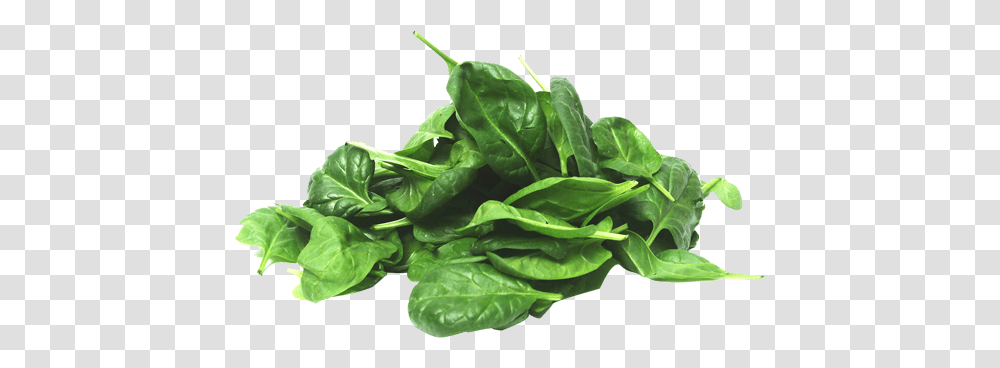 Baby Spinach 100g Spinach, Vegetable, Plant, Food Transparent Png