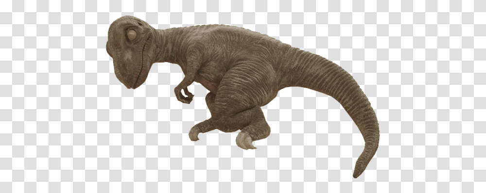 Baby T Rex, Dinosaur, Reptile, Animal, T-Rex Transparent Png
