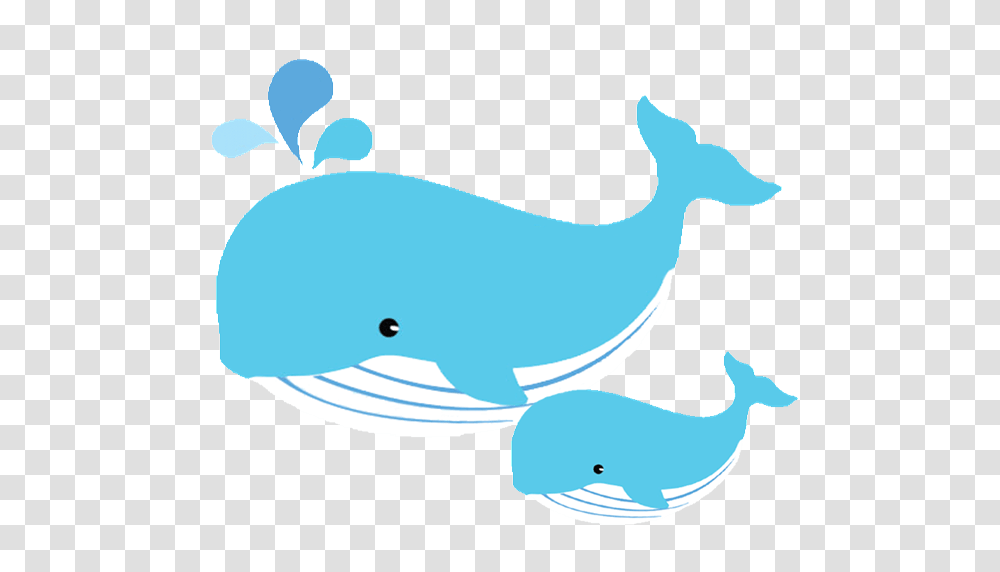 Baby Whale Clipart, Animal, Mammal, Sea Life, Shark Transparent Png