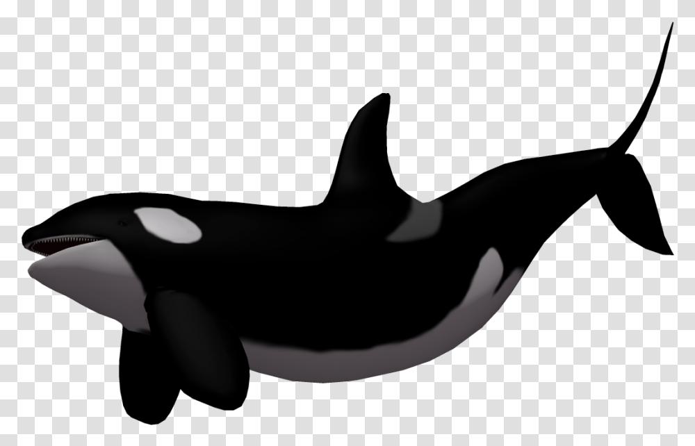 Baby Whale Killer Whale Clip Art Killer Whale Background, Sea Life, Animal, Orca, Mammal Transparent Png