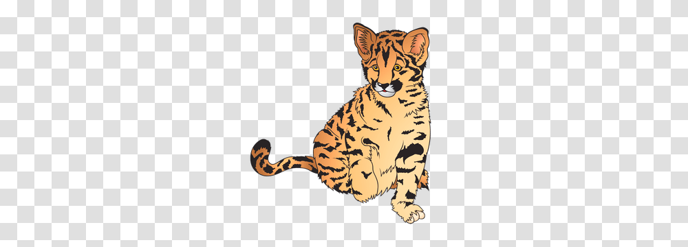 Baby Zoo Animals Clip Art Clipart, Mammal, Wildlife, Panther, Leopard Transparent Png