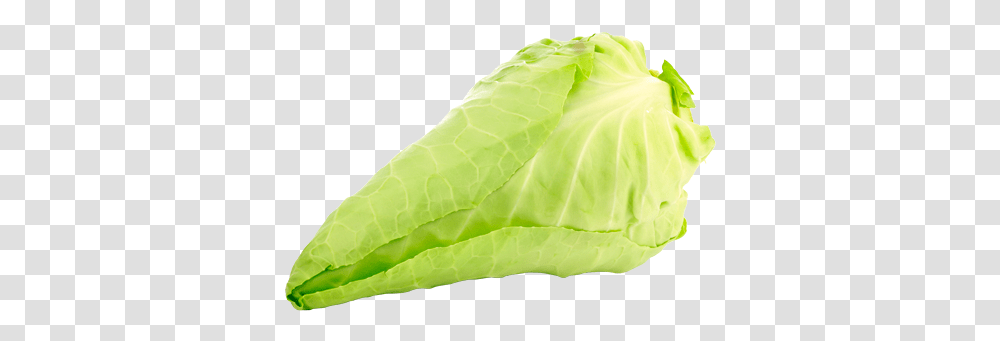 Babyleaves Chard, Plant, Vegetable, Food, Cabbage Transparent Png