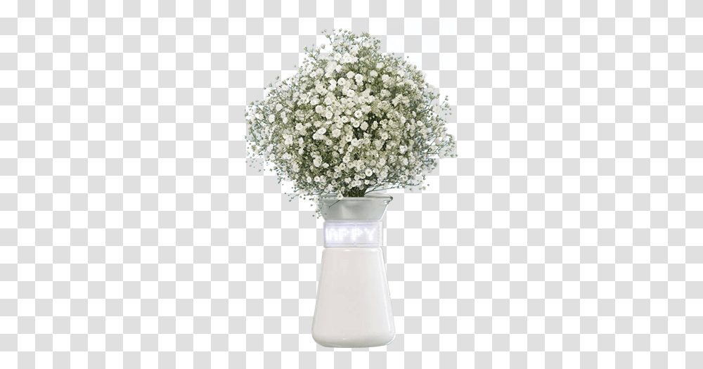 Babys Breath Flowers For Sale Express Vase, Plant, Blossom, Flower Bouquet, Flower Arrangement Transparent Png