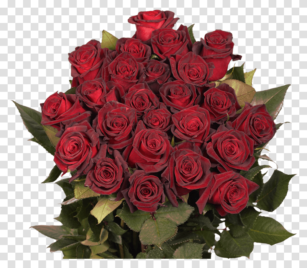Baccara Black Roses Lovely, Plant, Flower Bouquet, Flower Arrangement, Blossom Transparent Png