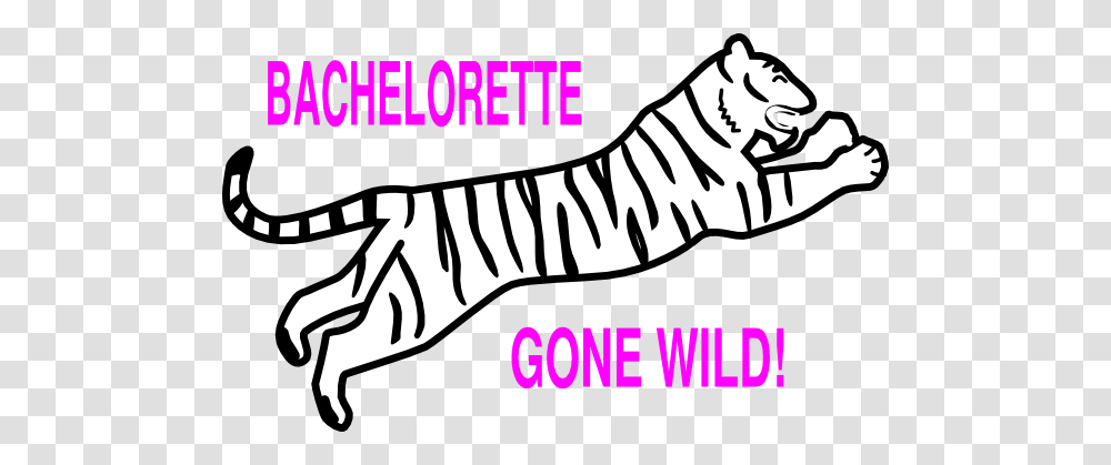 Bachelorette Wild Clip Art, Animal, Zebra, Wildlife Transparent Png