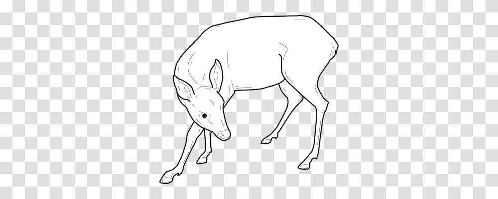 Back Nature, Mammal, Animal, Wildlife Transparent Png