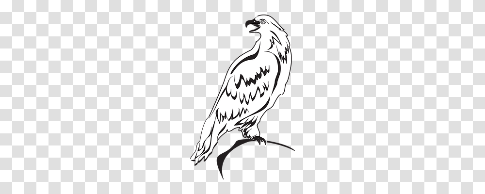 Back Animals, Bird, Eagle, Vulture Transparent Png