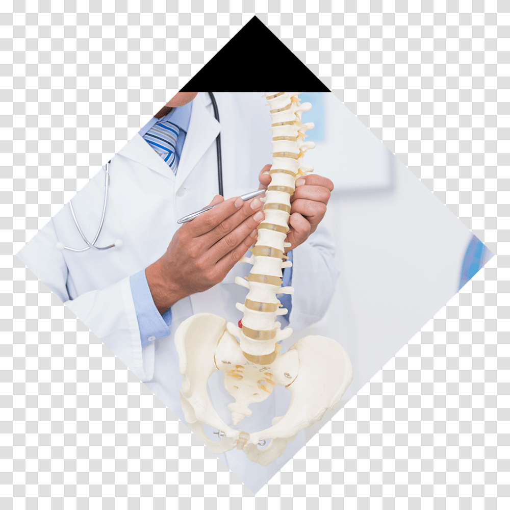 Back Amp Spine Conditions Background Image Doctor With Spine, Lab Coat, Shirt, Person Transparent Png