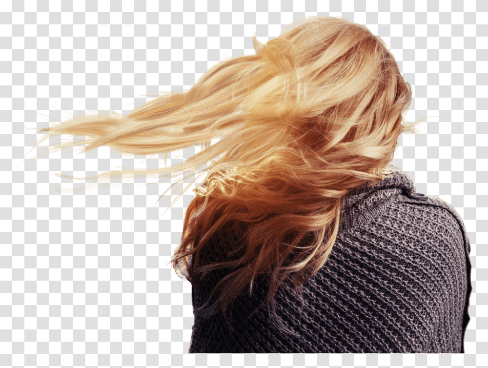 Back Head Woman, Hair, Person, Blonde, Girl Transparent Png