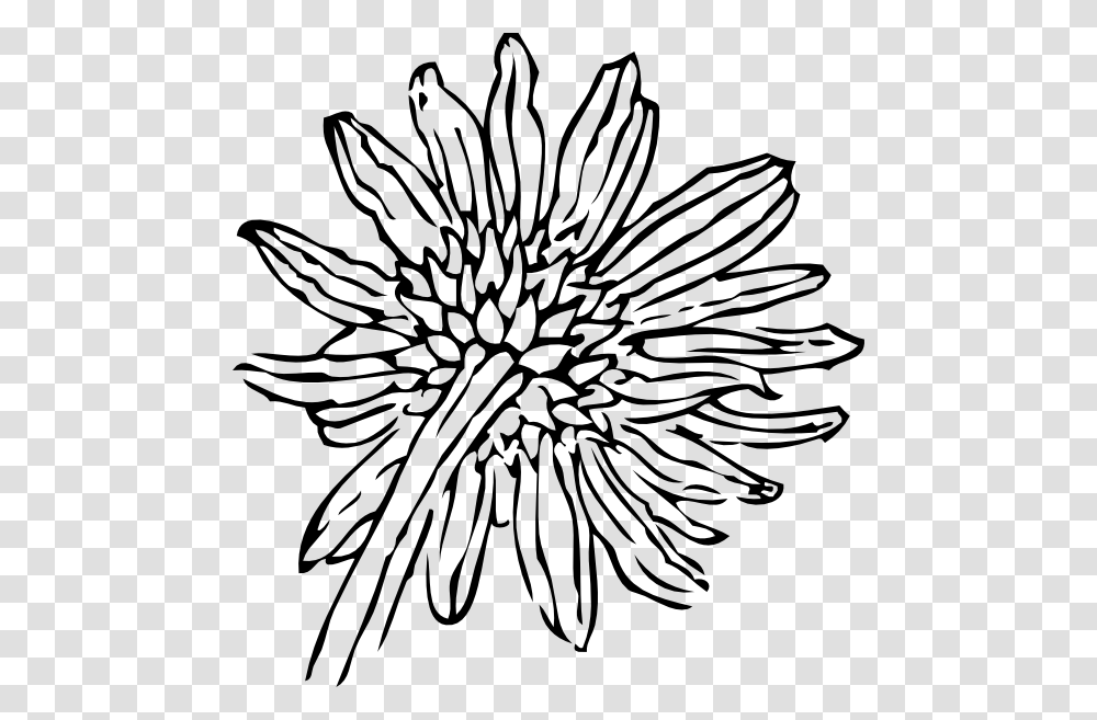 Back Of A Sunflower Clip Art For Web, Pattern, Plant Transparent Png