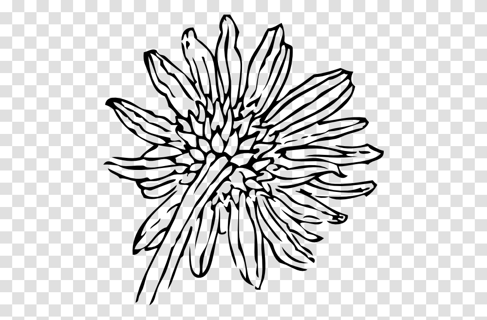 Back Of A Sunflower Clip Art, Pattern, Plant Transparent Png