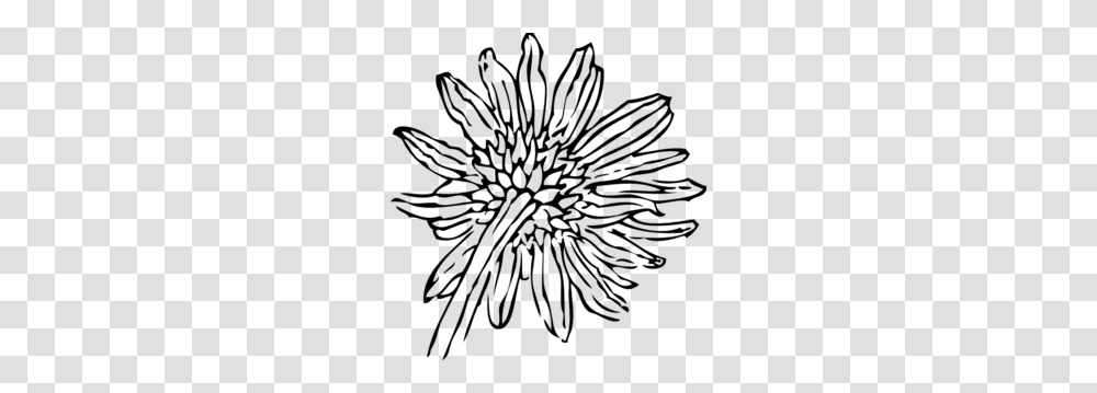 Back Of A Sunflower Outline Clip Art, Gray, World Of Warcraft Transparent Png