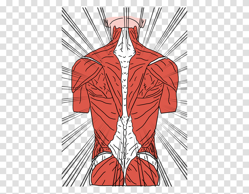 Back Pain Backache Back Ache Backpain Cramp Spine Back Muscles, Apparel, Person, Comics Transparent Png